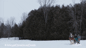A Royal Christmas Crush GIF by Hallmark Channel