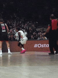 Crvena Zvezda GIF