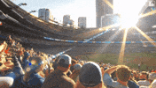Blue Jays Summer GIF by Toronto Blue Jays