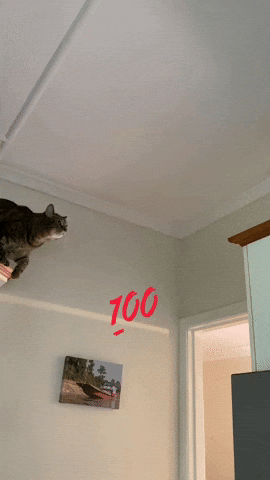 Made It Success GIF
