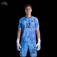 Fifa World Cup Austria GIF by Respective