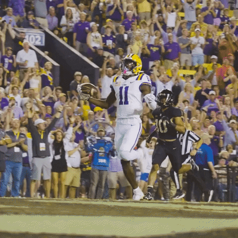 College Football GIF by LSU Tigers