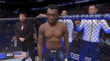 ufc sports sport ufc mma GIF