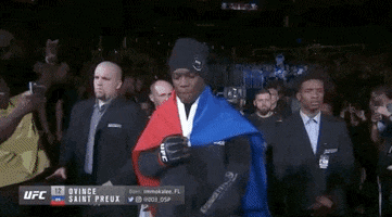 ufc sports sport ufc mma GIF