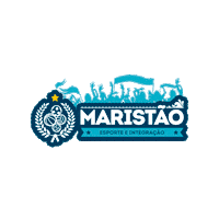 redemarista somosmaristas Sticker by Colégios e Unidades Sociais da Rede Marista