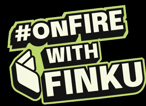 shylla giphygifmaker fire 2022 on fire GIF