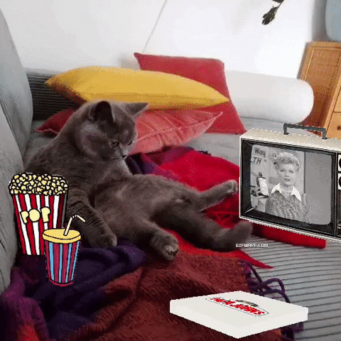andipapelitzky  GIF