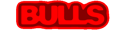 Bulls Sticker by DoorBrekers