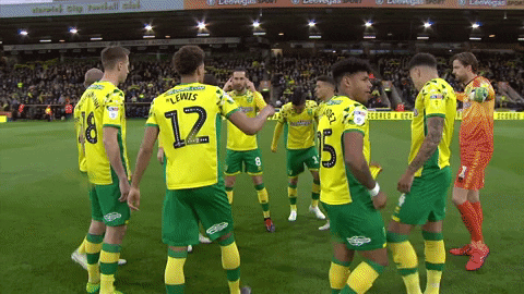 NorwichCityFC giphyupload football sport soccer GIF