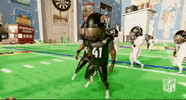 National Football League GIF by NFL