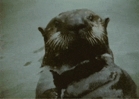 Vintage Swimming GIF by US National Archives