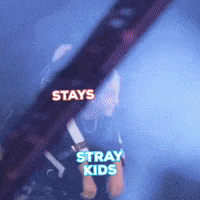 Happy Stray Kids GIF