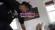Cover Microwave GIF by Pure Noise Records
