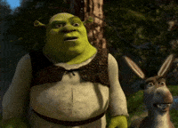 Confused No Way GIF