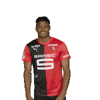 Sticker by Stade Rennais F.C.