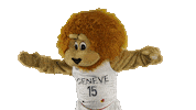 Basketball Basket Sticker by Lions de Genève