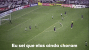 Fec Fortalezaec GIF