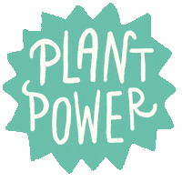 Plant Based Vegan Sticker