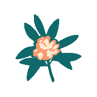 Flower Appalachian Sticker by The Landmark Project