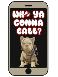 Ghost Dna Sticker by OKC Frenchies