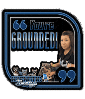 Neva Sticker by OKC Frenchies