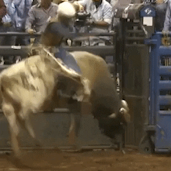 High School Rodeo GIF by Professional Bull Riders (PBR)