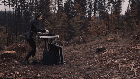 DTF_Mag giphygifmaker GIF