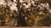 Fire Breathing Hbo GIF by Game of Thrones