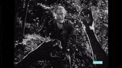 tcm japan classic movies japanese cinema rashomon GIF