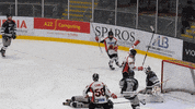 Ice Hockey Nihl GIF by Cardiff Fire
