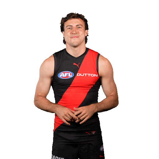 Football Sport Sticker by Essendon FC