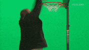 slam dunk basketball GIF by #ActionAliens