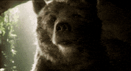 jon favreau disney GIF by Disney's The Jungle Book
