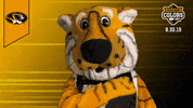 College Sports Mascots GIF by College Colors Day