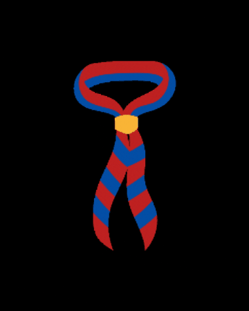 Barcelona GIF by Escoltes Catalans