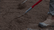 Rake Grading GIF by JC Property Professionals