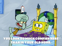 season 5 new digs GIF by SpongeBob SquarePants