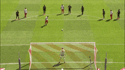 1 Fc Cologne Football GIF by 1. FC Köln