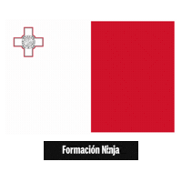 Flag Bandera Sticker by Formación Ninja