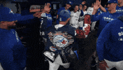 Blue Jays Baseball GIF by Toronto Blue Jays