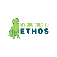 Dog Cats Sticker by Ethos Vet Health