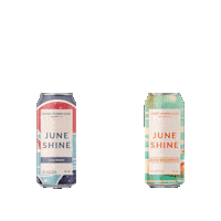 Kombucha Sticker by JuneShine