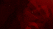 Say So Red Light GIF by Doja Cat
