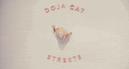 Streets GIF by Doja Cat
