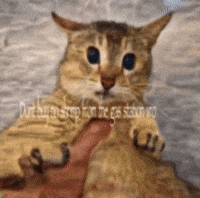 Mei Mei Vro GIF