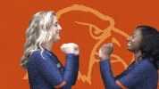 C-N Volleyball GIF by Carson-Newman Athletics