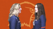 C-N Volleyball GIF by Carson-Newman Athletics
