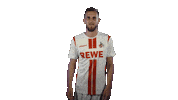 1 Fc Cologne Football Sticker by 1. FC Köln