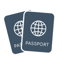 Travel Ally Sticker by TheAllyCo