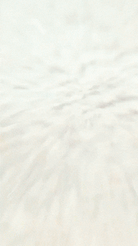 Jasper Chuckecheese GIF by Youtooz